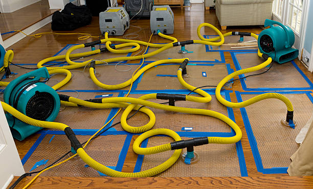 Professional Flood Damage Restoration technician working in Wildwood, TN